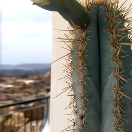 Appartement Casuzza Al Duomo Con Vista Valle Dei Templi!